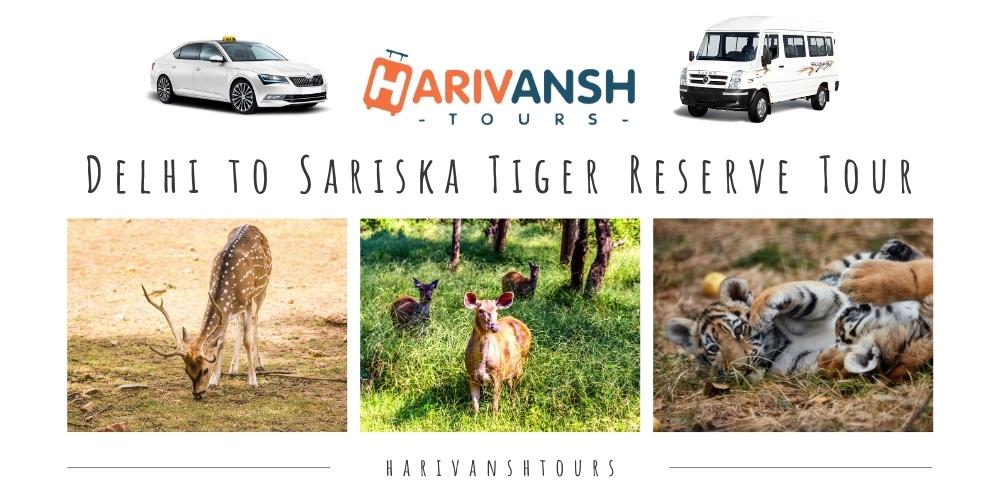 Delhi to Sariska Tiger Reserve Tour 