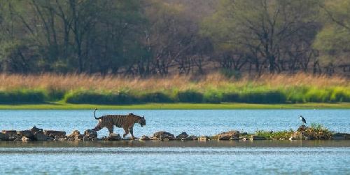 Raj_Bagh_Talao