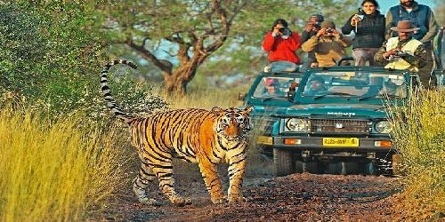 Ranthambore National Park